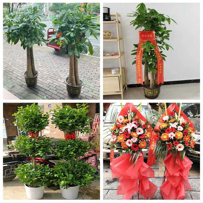 新店开张开业花篮北京市东城区安定门北新桥东四同城公司庆典搬迁