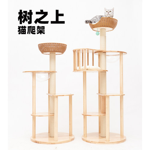 宽喵全橡胶木树之上猫爬架防潮