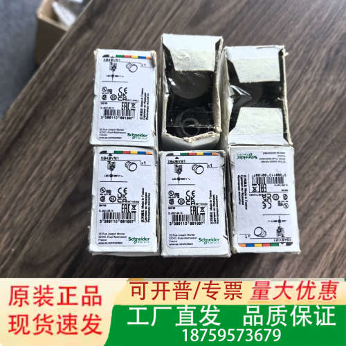 XB4BVM1 正品议价