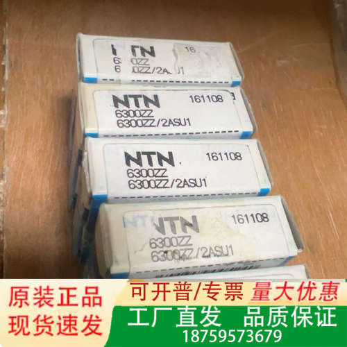 NTN日本轴承6300ZZ/2ASU1议价