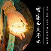 新品 玉容亮肤补气皿虚不受补抗衰老提亮去黄 雪莲玉灵膏丸