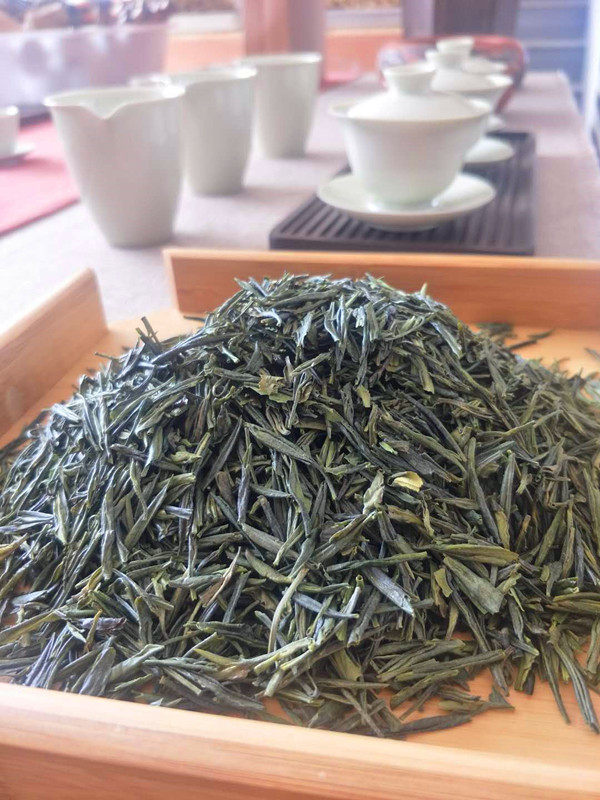 2025新茶 长兴特产顾渚紫笋茶 绿茶 野生茶 深山茶 茶叶500G 包邮