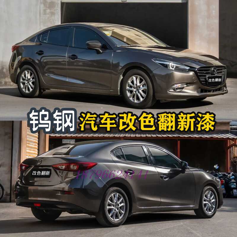 低调钨钢色汽车高级质感喷漆鹦鹉