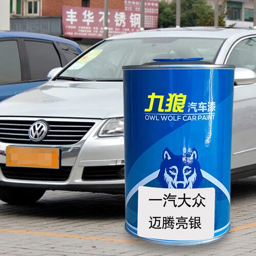 九狼迈腾亮银色摩卡棕