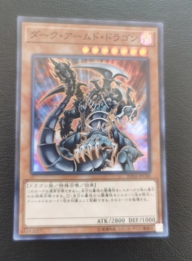 宝可梦游戏王暗黑武装龙PTDN-JP019 GFP2 N/R/NPR/UR/HR 507