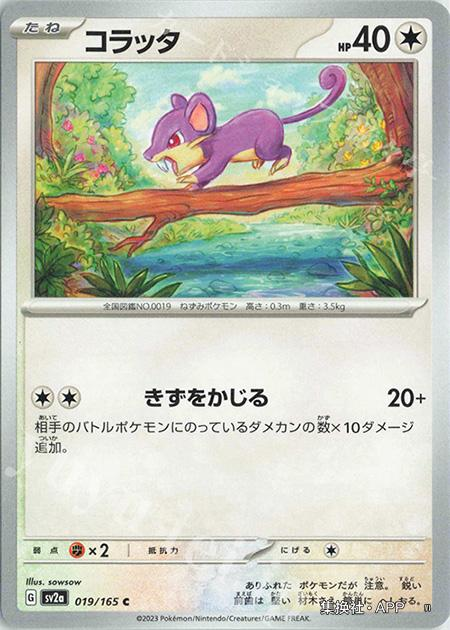 PTCG宝可梦卡牌日版SV2A C小拉达