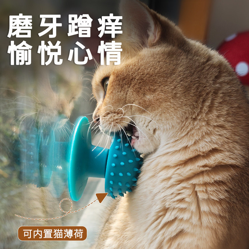 猫薄荷玩具猫咪磨牙棒图片