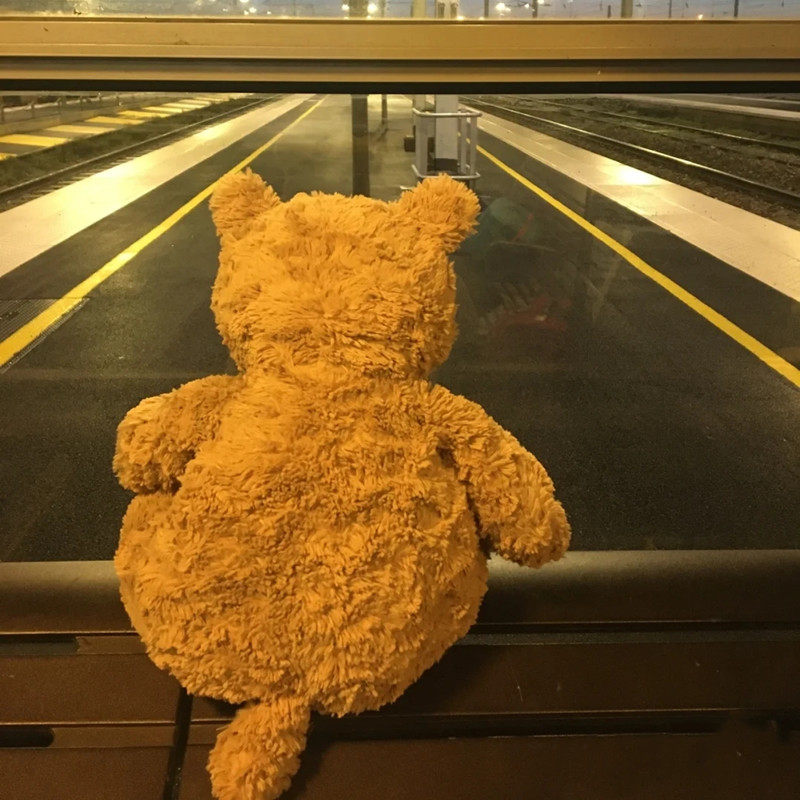 귀여운 바르셀로나 곰 인형 브라이언 허거블 베어 플러시 장난감 치유 곰 인형 소녀 선물