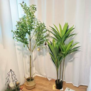 北欧风仿真绿植组合 油橄榄树+巴西木+散尾竹 落地大型假植物盆栽