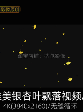 浪漫金黄色银杏叶飘落动态视频素材4k树叶掉落散落特效带透明通道