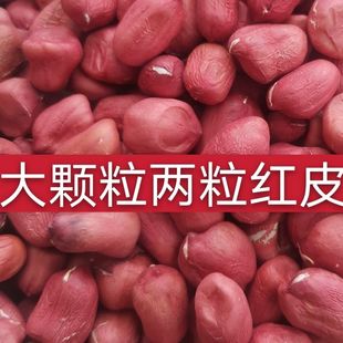 当季新红皮花生米两粒大颗粒红皮花生米养生果红皮花生米