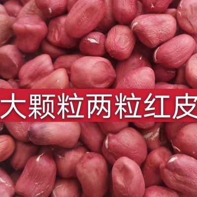 当季新红皮花生米两粒大颗粒红皮花生米养生果红皮花生米