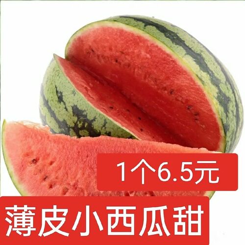 每颗1.2斤左右现摘小吊瓜西瓜小糖丸小吊瓜香瓜薄皮无籽西瓜小西