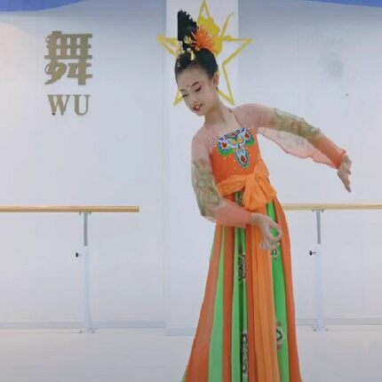 中国风古典舞蹈唐印汉唐舞女表演服仙气飘逸艺考考级开场舞演出服