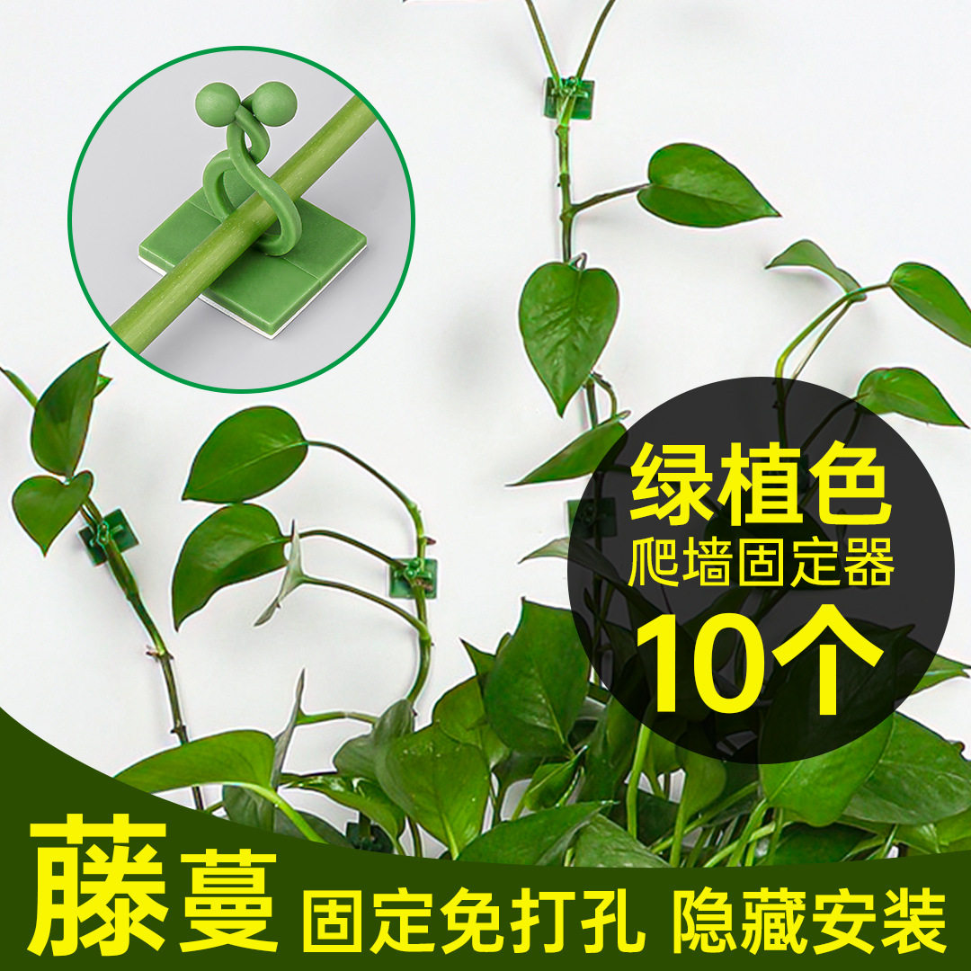 绿萝爬墙神器绿萝固定藤蔓固定夹攀爬挂钩绿罗扣环无痕绿植固定器,收纳整理,爬墙固定器,淘宝优惠券,粉丝福利购,淘宝优惠卷