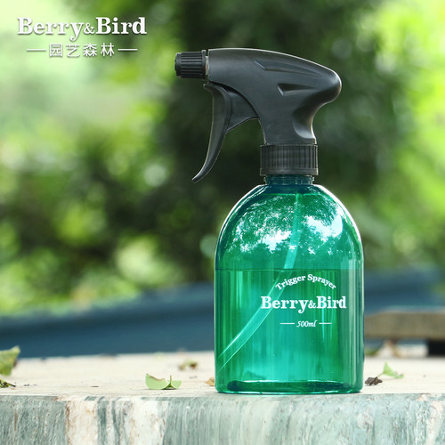 Berry&Bird喷壶小号多肉专用园艺工具洒水壶气压式喷雾瓶家用消毒
