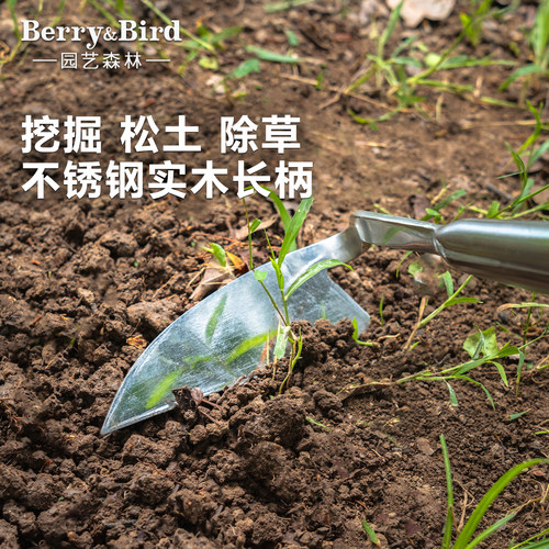 Berry&Bird园艺森林不锈钢锄头挖掘松土除草户外花园庭院种植工具