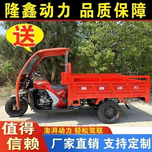 隆鑫动力三轮摩托车燃油重风水冷货运110-350发动机农用赠简易棚