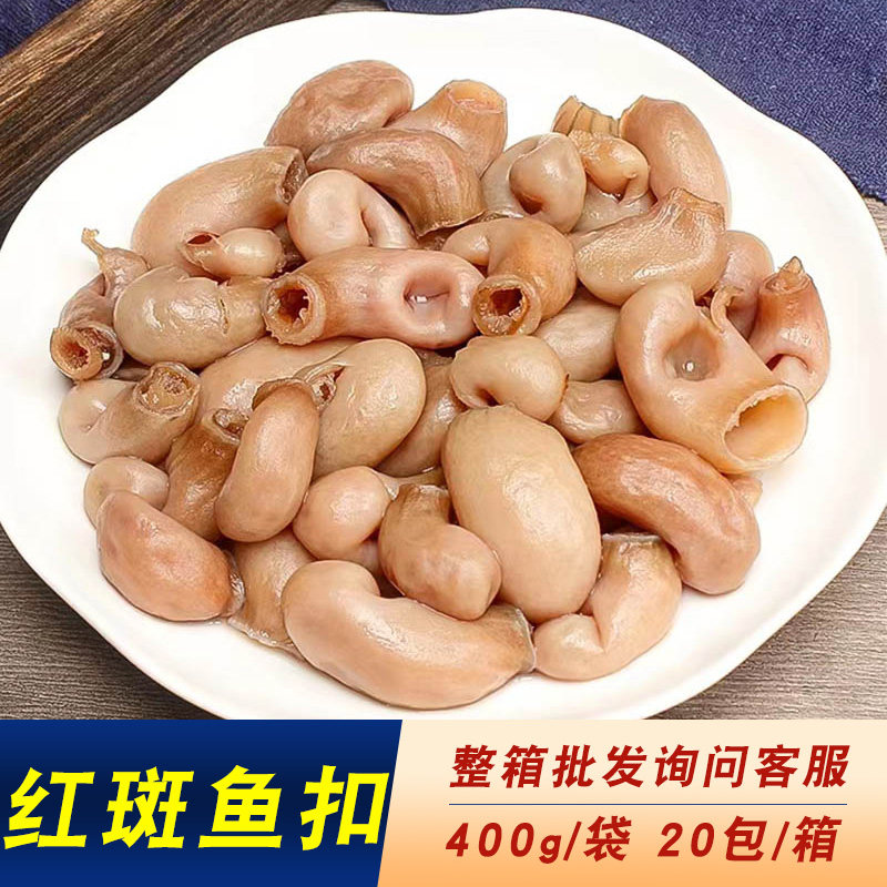 鑫鸿益红斑鱼扣400g 石斑鱼肚速冻鱼泡免浆鱼肚新鲜鱼胶鱼鳔批 发