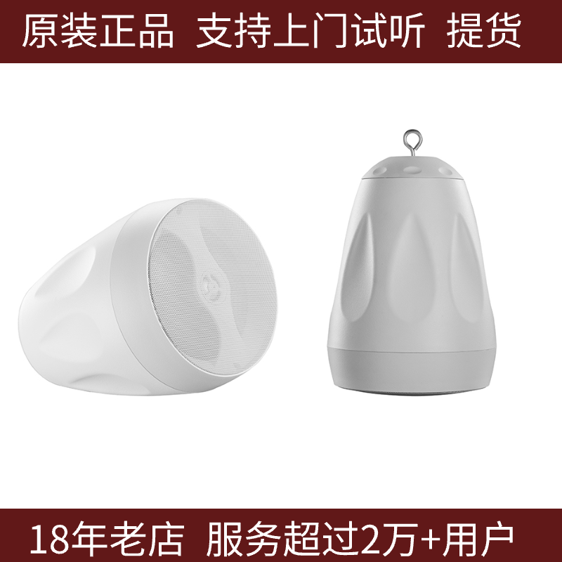 HIVI惠威CS205206悬挂式音箱 咖啡厅定阻高保真音响