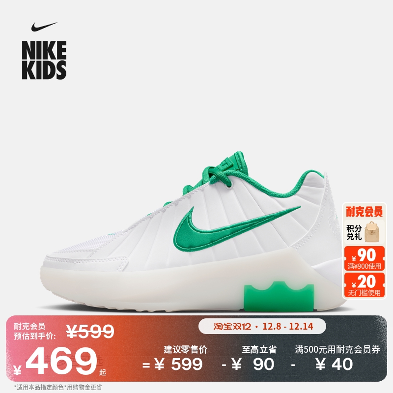 耐克詹姆斯大童篮球鞋冬新款男女童NIKE LEBRON WITNESS 9 HV2270