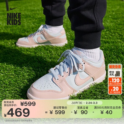 Nike耐克Dunk低帮大童运动鞋板鞋