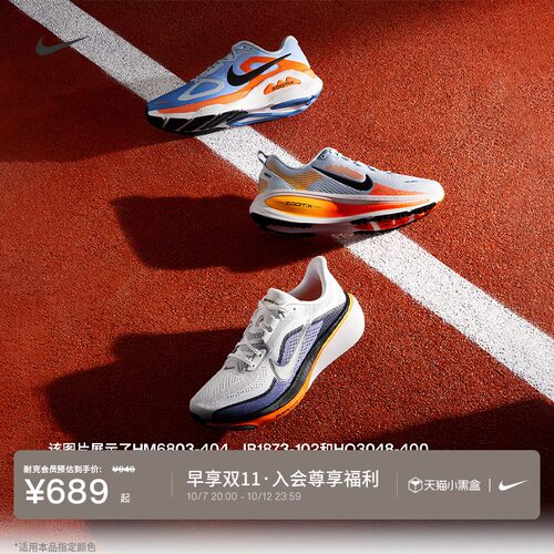 Nike耐克PEGASUS42男专业跑步鞋