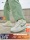 Nike Официальный сайт Nike AF1?Женская спортивная обувь SHADOW Air Force One кремово-зеленого цвета на платформе FN6335 mini 0