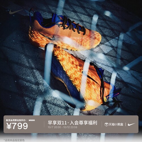 Nike耐克荆棘抗扭男子实战篮球鞋