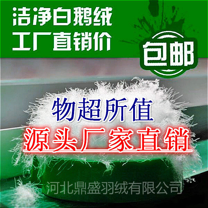鹅吊吊白鹅绒填充物保暖环保