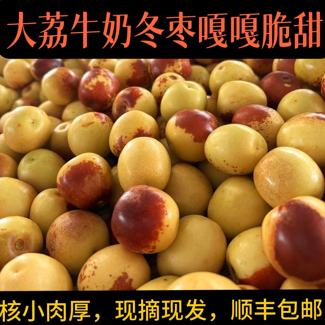 陕西大荔牛奶冬枣新鲜水果当季现摘现发精品纯甜脆顺丰包邮
