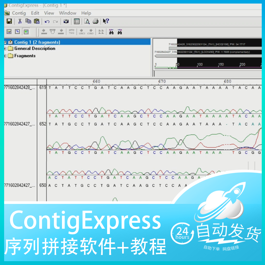 ContigExpress 生物学测量基因序列拼接软件+教程Contig Express