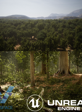 ue5虚幻 森林树林丛林地貌场景MW Broadleaf Trees Forest Biome