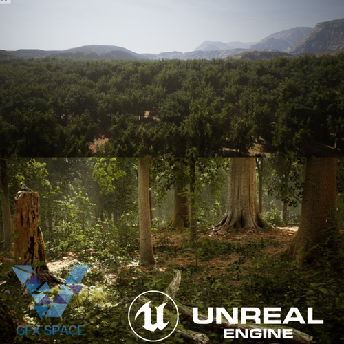 ue5虚幻 森林树林丛林地貌场景MW Broadleaf Trees Forest Biome