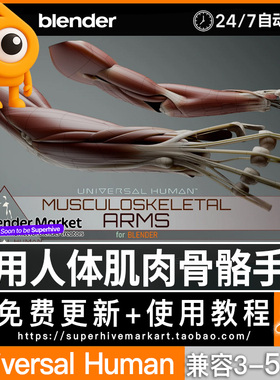 Blender Universal Human 绑定手臂肌肉手部Musculoskeletal Arms