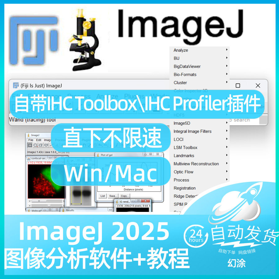 ImageJ Fiji自带IHC Profiler IHC Toolbox免疫组化插件版Win Mac