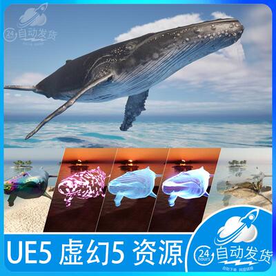 UE5虚幻5影视写实鲸鱼海洋座头动物全息多材质带绑定动画
