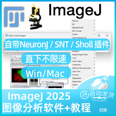 Fiji ImageJ自带SNT Sholl Analysis NeuronJ 插件版 神经元分析