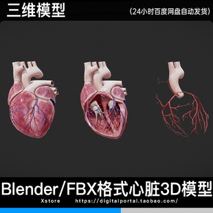 FBX Blender格式三维 人体心脏器官血管解剖心脏心房心室3D模型