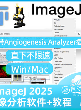 Fiji Imagej 自带Angiogenesis Analyzer插件血管成形分析Win Mac