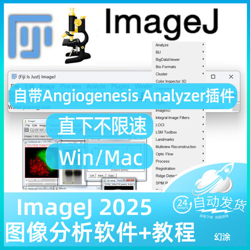 Fiji Imagej 自带Angiogenesis Analyzer插件血管成形分析Win Mac