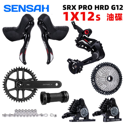 SENSAH碳纤维油碟套件1x12速变速