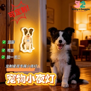 阿木定制宠物居家夜创意人体感应小夜灯免布线家用夜间过道