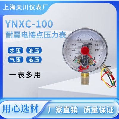 YNXC-100电接点压力表上海天川