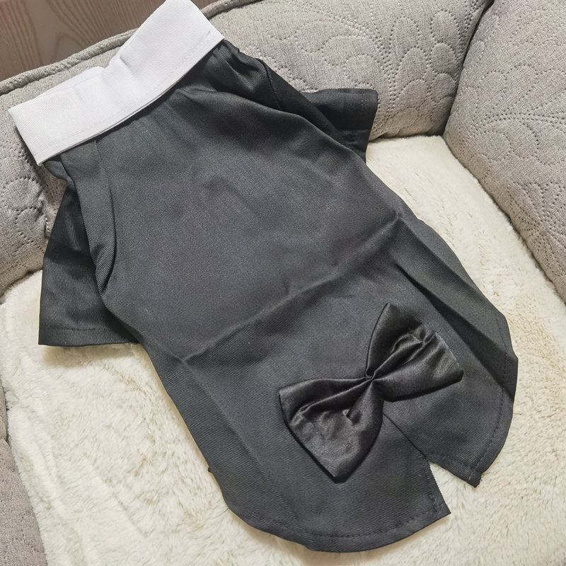 宠物男生礼服狗狗西装结婚薄款图片