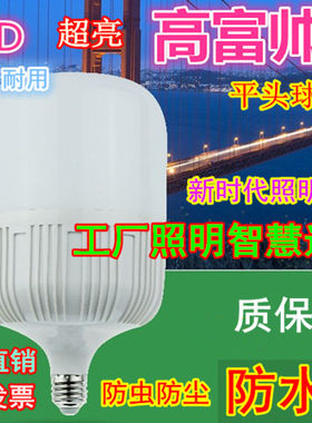 LED防水防尘工矿灯泡螺口球形节能灯泡220V36W40W50W60W80W100W