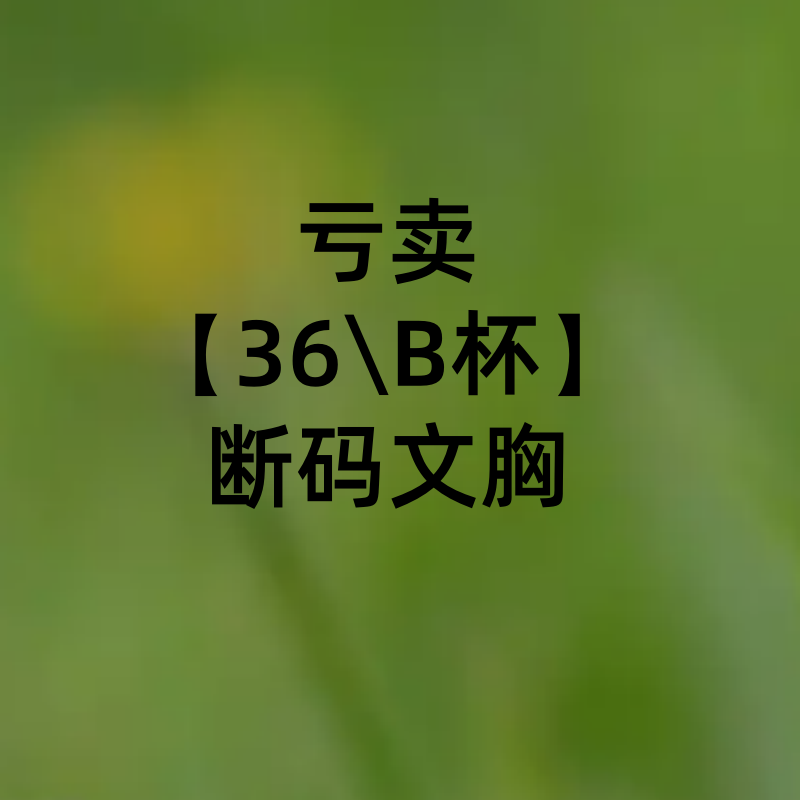 珍妮芬36B杯聚拢调整型文胸断码