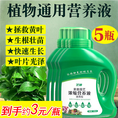 植物营养液通用型绿萝专用肥料