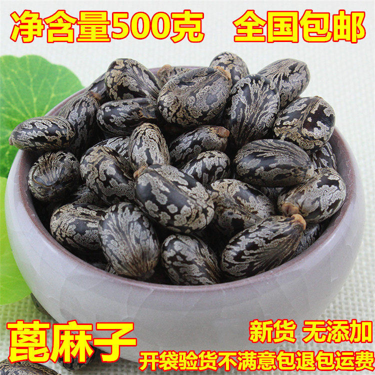 蓖麻子500克包邮 云南大粒新货 蓖麻籽 蓖麻子仁蓖麻子粉蓖麻种子