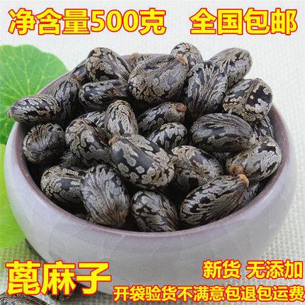 蓖麻子500克包邮 云南大粒新货 蓖麻籽 蓖麻子仁蓖麻子粉蓖麻种子